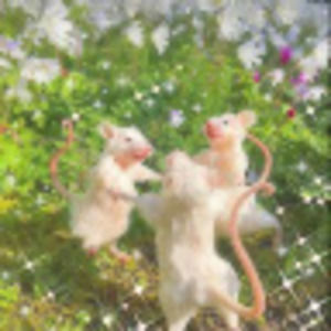 Meet your Posher, Emely